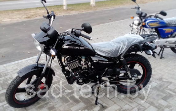Мотоцикл Хорс Z 150 (Z-150 / Z150) (150 см3) - фото 1 - id-p126359487