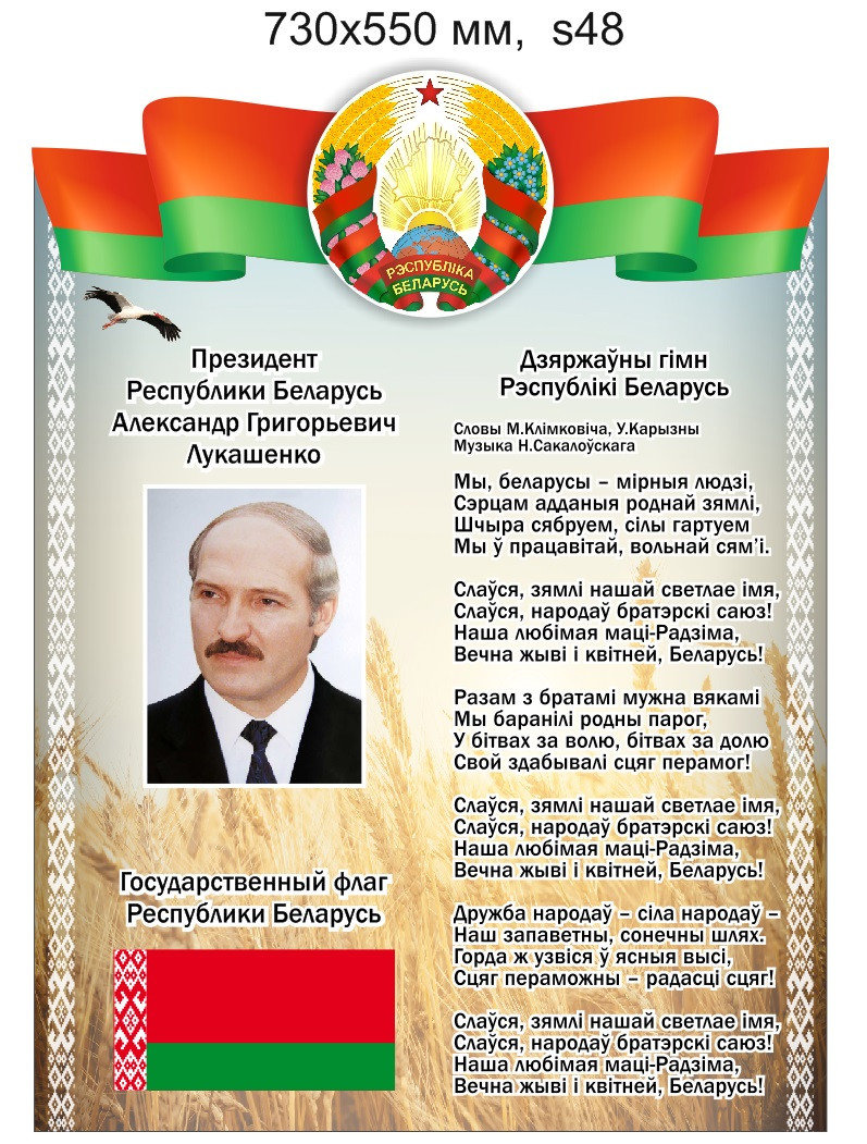 Стенд с символикой и президентом Республики Беларусь. 730х550 мм - фото 1 - id-p108511786