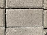Тротуарная плитка 2с "Кирпичик" "6", фото 2