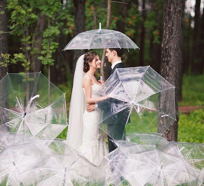 Аренда свадебных зонтов в Гродно