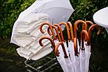 Аренда свадебных зонтов в Гродно, фото 4