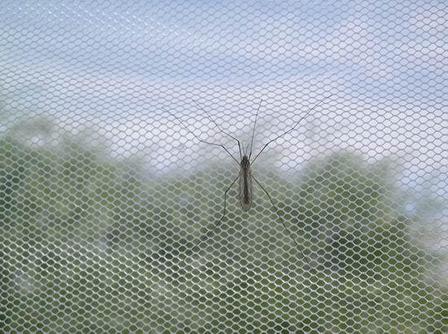 Сетка от комаров СТ 75сц (полиэфир), 50х0.75м, фото 2