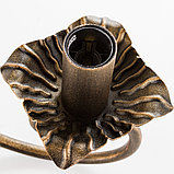 Люстра Nowodvorski PLOMYK X zwis 491, фото 3