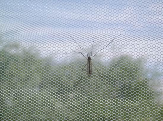 Сетка от комаров СТ 100сц, серая (полиэфир), 1х50м - фото 2 - id-p107670855
