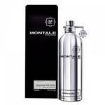 Туалетная вода Montale FRUITS OF THE MUSK Unisex 100ml edp