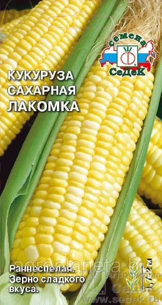 Кукуруза ЛАКОМКА, 5 г