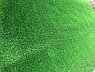 Аренда искусственной травы, фото 3