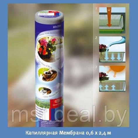 Капиллярная Мембрана GreenVista 0,6х2,4м., фото 2