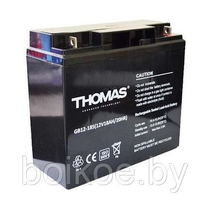 Аккумуляторная батарея Thomas 12-18S (12V18AH), фото 2