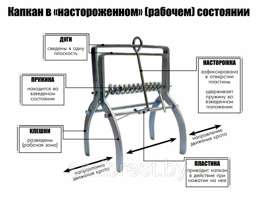 Капкан для кротов