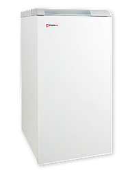 Газовый котел Protherm 40 KLOM R Медведь