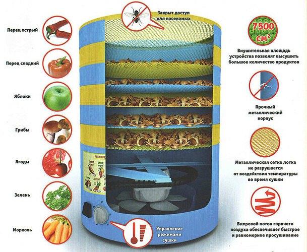 Электросушилка для фруктов, овощей, грибов Элвин СУ-1 (6 лотков, 800Вт)