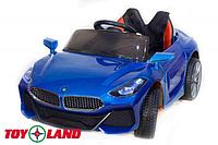 ToyLand BMW SPORT (синий краска)