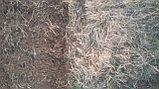 Обработка почвы минитрактором с почвофрезой, фото 3
