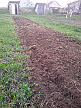 Обработка почвы минитрактором с почвофрезой, фото 4