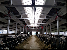 Вентиляционное оборудование для молочно-товарной фермы
