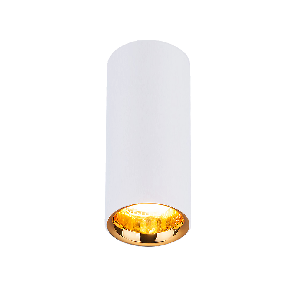 Накладной потолочный светодиодный светильник DLR030 12W 4200K белый матовый/золото - фото 1 - id-p127534144