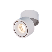 Накладной потолочный светодиодный светильник 
DLR031 15W 4200K 3100 белый матовый
