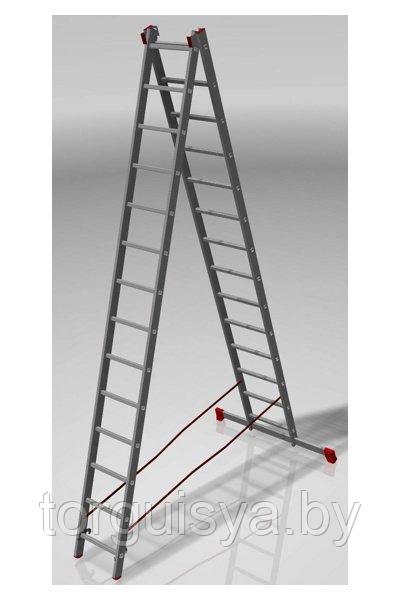 Лестница алюминиевая двухсекционная профессиональная 20 ст. NV 300 - фото 1 - id-p127591636