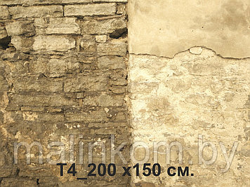 Фотофон "Старые стены. Таллин" 200*150 см №4