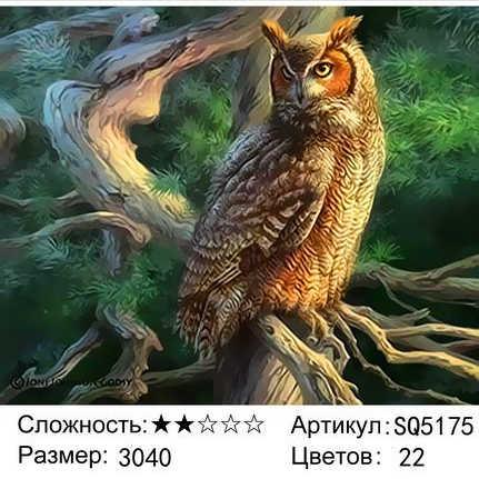 Рисование по номерам Филин (SQ5175)