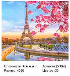 Алмазная мозаика Цветение в Париже (ZX9548)