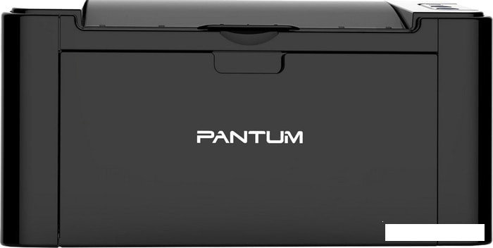 Принтер Pantum P2500NW - фото 1 - id-p121394319