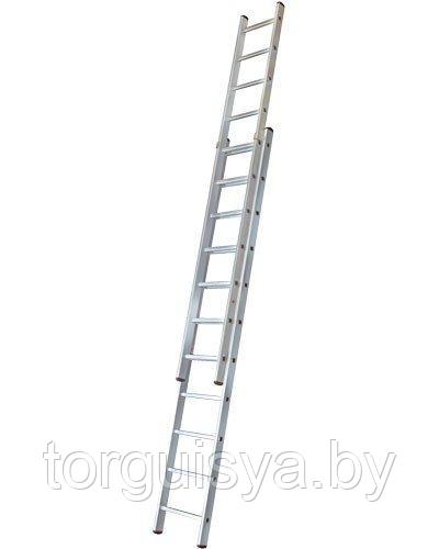 Лестница алюминиевая раздвижная двухсекционная индустриальная 12 ст. NV 500 - фото 1 - id-p127620946
