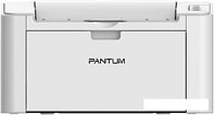 Принтер Pantum P2200