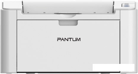 Принтер Pantum P2200 - фото 1 - id-p120334268