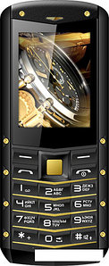Мобильный телефон TeXet TM-520R (черный-золотистый)