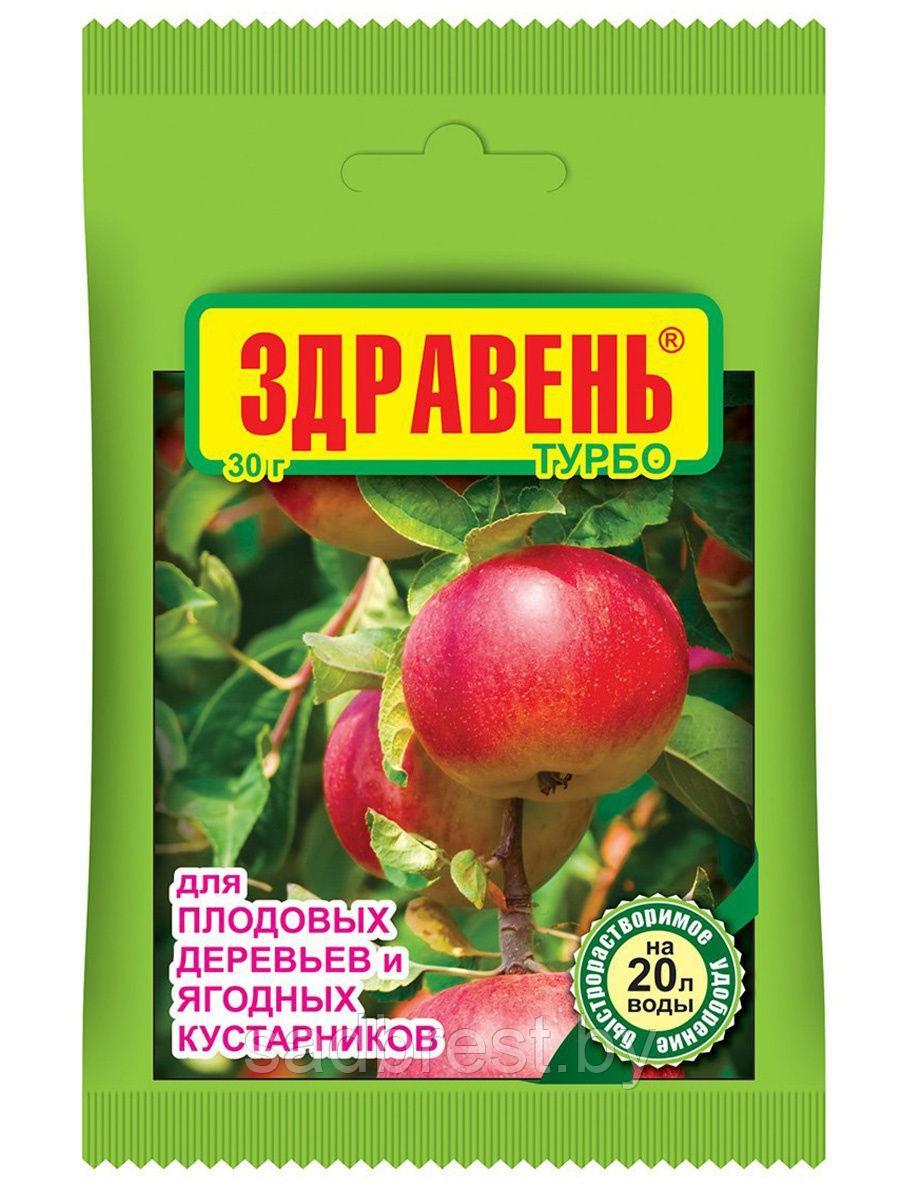 Удобрение для плодовых деревьев и ягодных кустарников Здравень Турбо 30 гр - фото 1 - id-p127746394