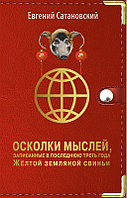 Осколки мыслей, записанные в последнюю треть года Желтой Земляной Свиньи