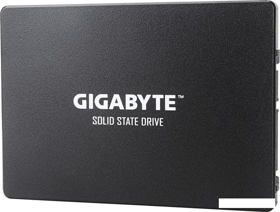 SSD Gigabyte 256GB GP-GSTFS31256GTND, фото 2