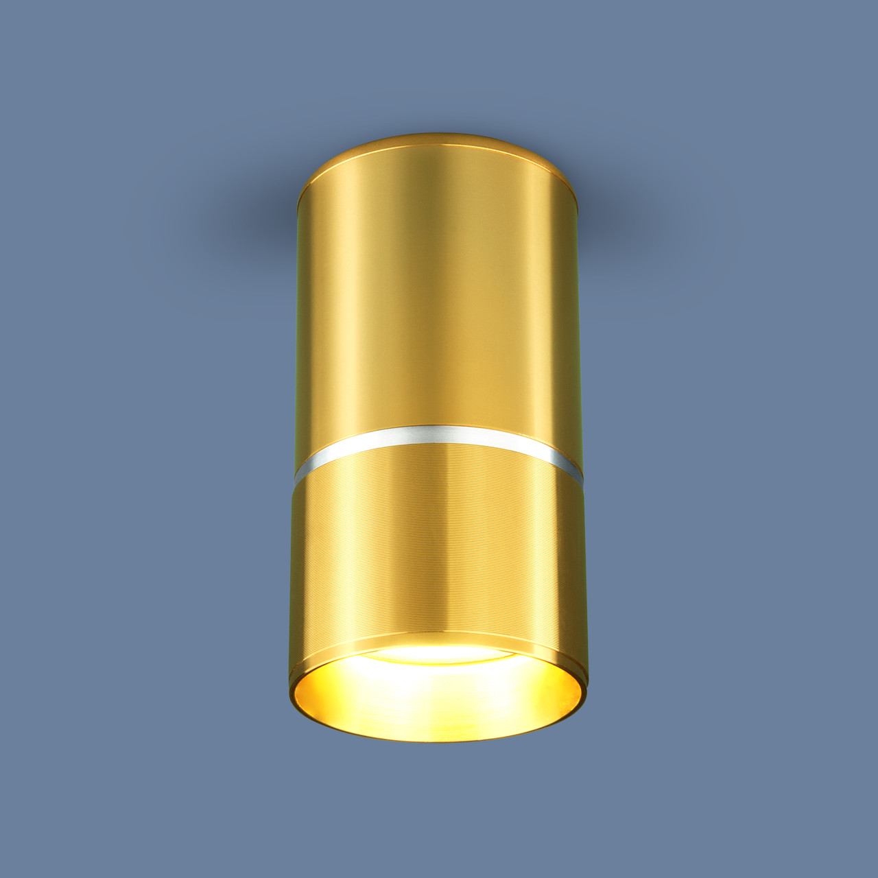 Накладной точечный светильник DLN106 GU10 золото - фото 1 - id-p127758928
