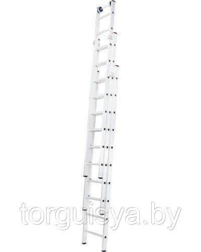 Лестница алюминиевая раздвижная трехсекционная индустриальная 17 ст. NV 500 - фото 1 - id-p127620932