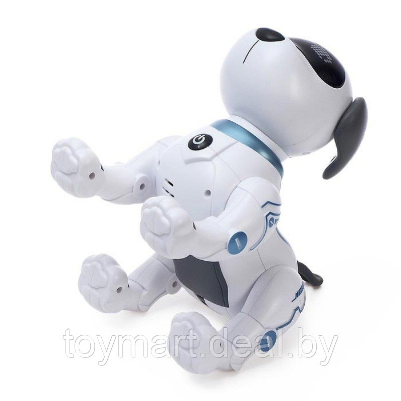 Интерактивная собака-робот - Пультовод, радиоуправляемая, ZYA-A2875 - фото 8 - id-p127906532