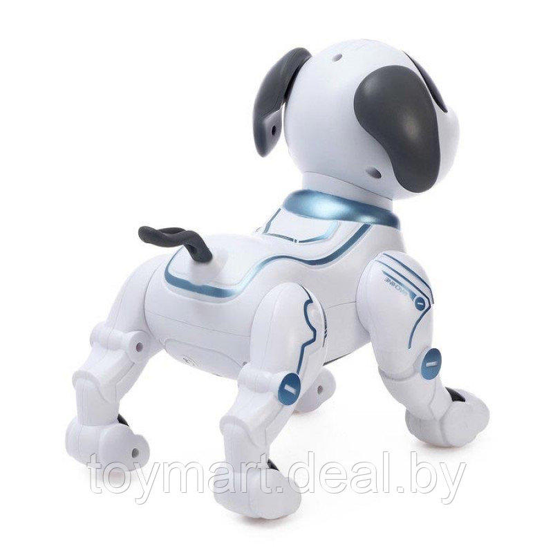 Интерактивная собака-робот - Пультовод, радиоуправляемая, ZYA-A2875 - фото 7 - id-p127906532