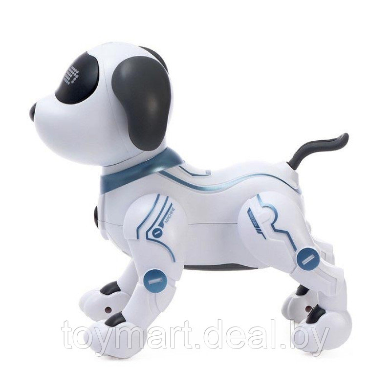 Интерактивная собака-робот - Пультовод, радиоуправляемая, ZYA-A2875 - фото 3 - id-p127906532