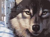 Рисование по номерам "Волк" картина
