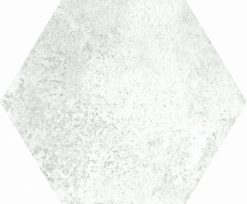 20*24 Помпея (белый) бланко (0,915/25)