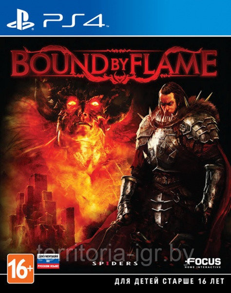 Bound by Flame PS4 (Русская документация)