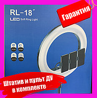 Кольцевая лампа 45 см LED RL-18'' (сумка, штатив, пульт в комплекте)