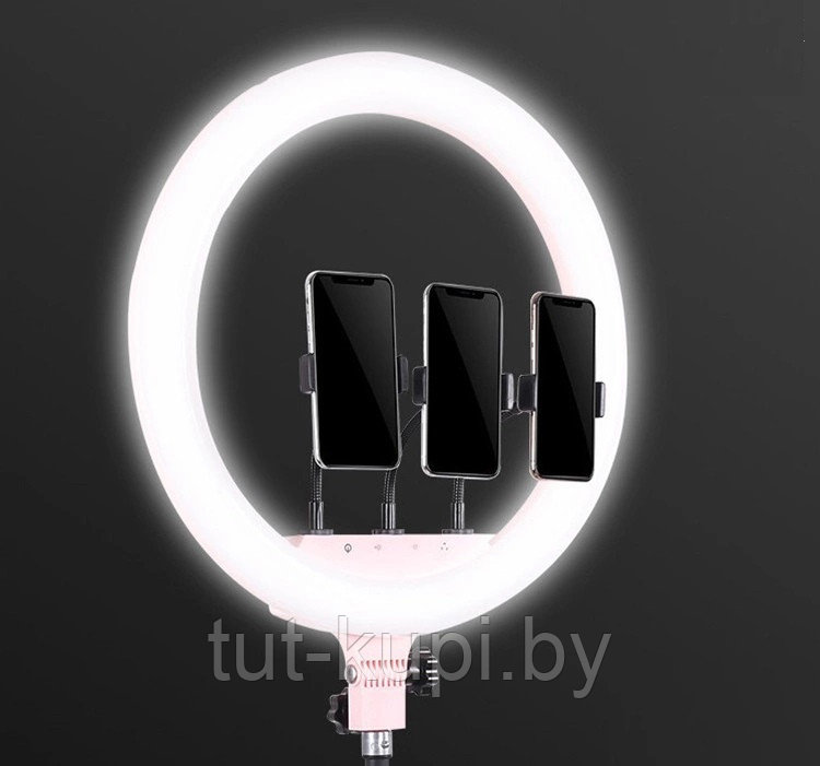 Кольцевая лампа LED RING LIGHT Touch Mode сенсорная + штатив + держатели для телефона - фото 5 - id-p128651696
