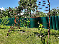 Арка садовая кованая под виноград. Пергола кованая для винограда в саду