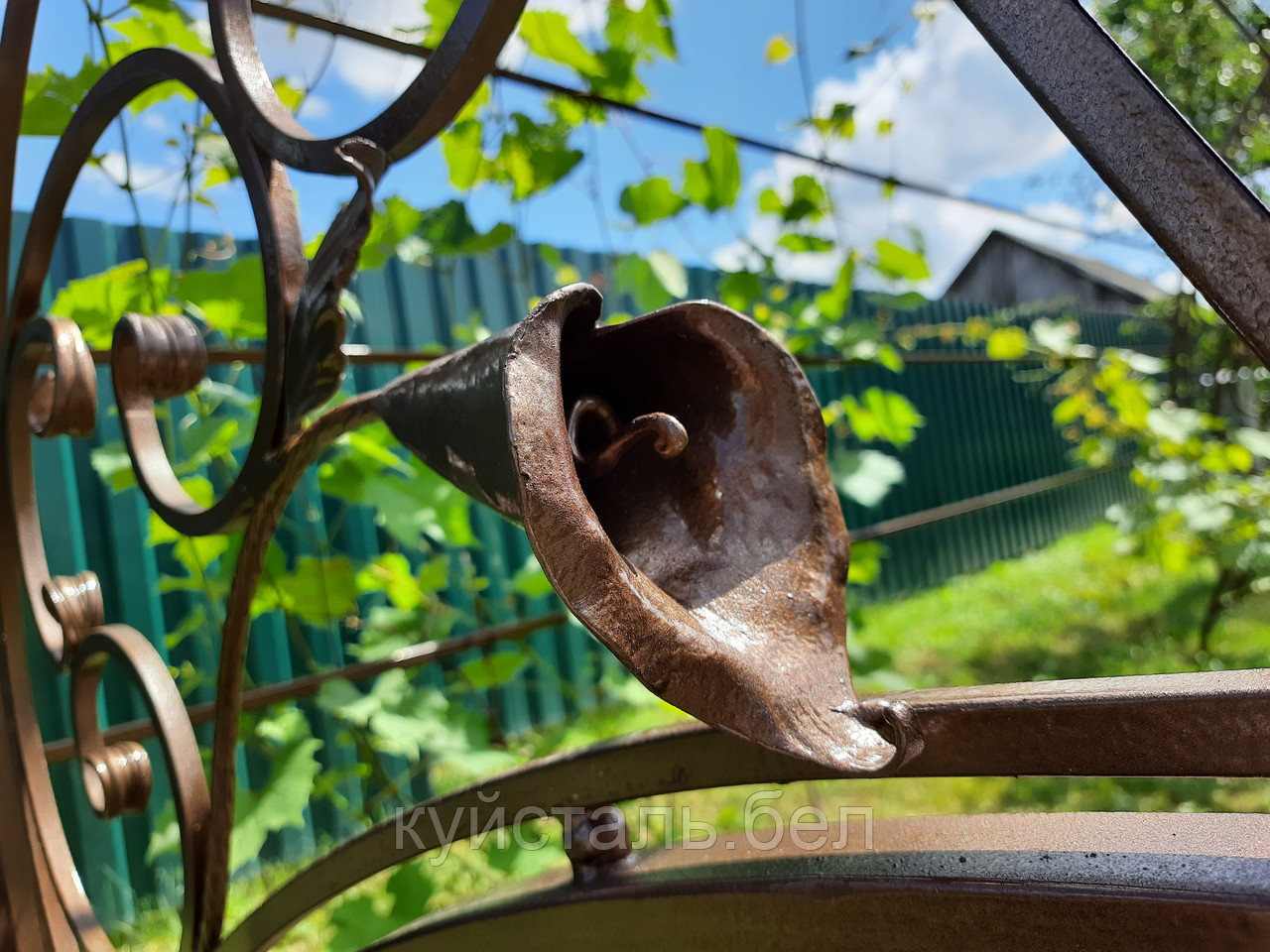 Арка садовая кованая под виноград. Пергола кованая для винограда в саду - фото 5 - id-p128744463