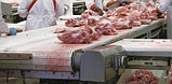 Ленты для мясо, птицы и морепродуктов фирмы HABASIT, фото 2