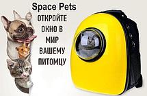 Переноска для кошек и собак (разные цвета).Рюкзак для животных Space Pets., фото 3