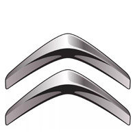 Автошторки Citroen