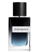 Yves Saint Laurent Y for Men Парфюмерная вода для мужчин (100 ml) (копия)